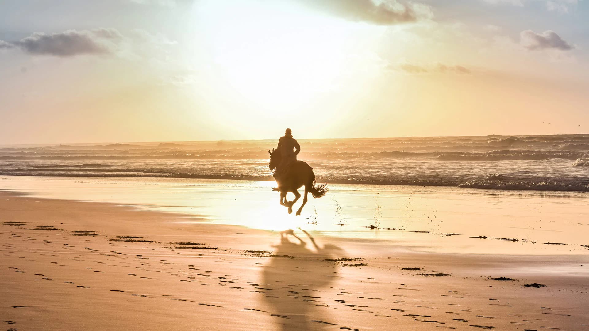 Elie Saab Casablanca